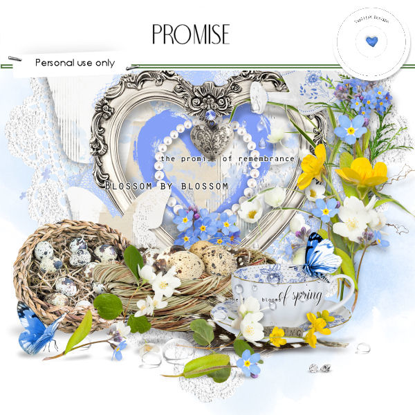 (image for) Promise